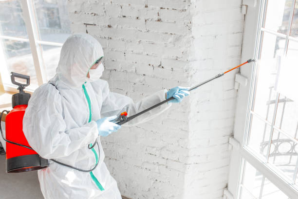 Environmental Consulting for Mold Prevention in Pitcairn, PA